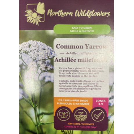 Northern Wildflowers Yarrow Common Pkg.