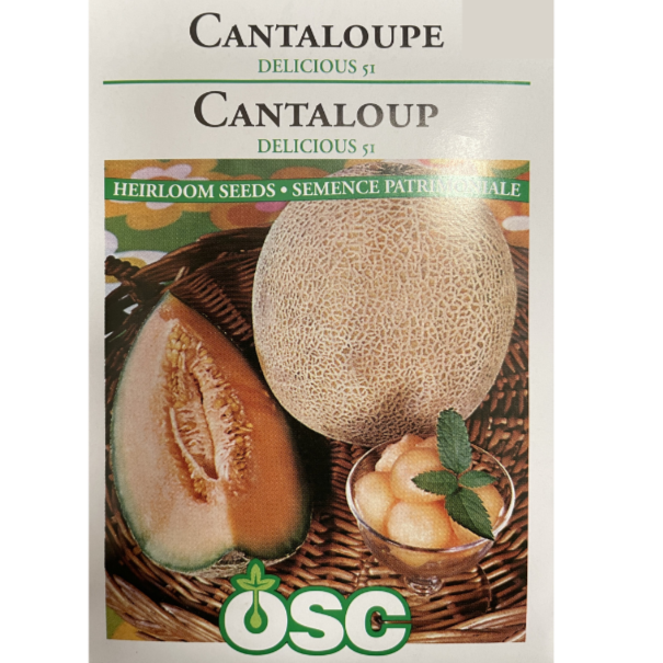 OSC Seeds Cantaloupe Delicious 51 Pkg