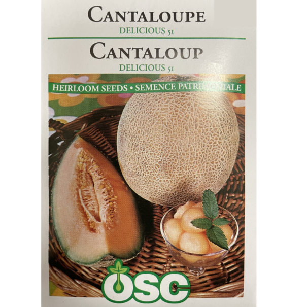 OSC Seeds Cantaloupe Delicious 51 Pkg.