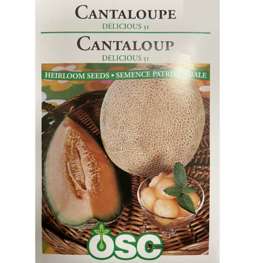 OSC Seeds Cantaloupe Delicious 51 Pkg.