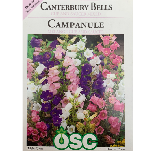 OSC Seeds Canterbury Bells Cup & Saucer Mixed Pkg