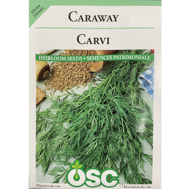 OSC Seeds Caraway Pkg