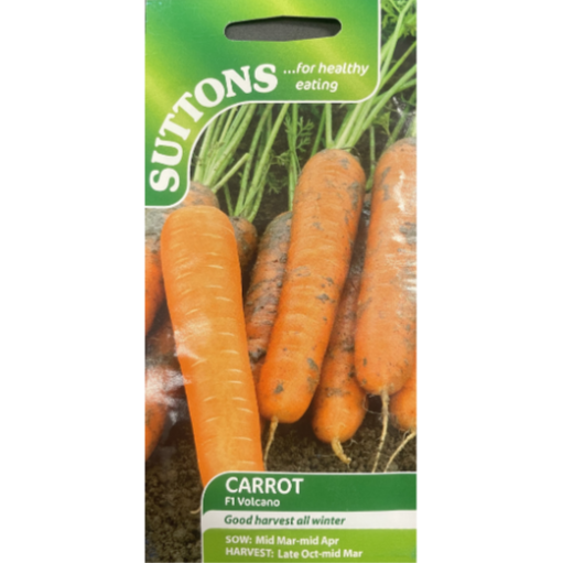 Suttons Seed Carrot F1 Volcano