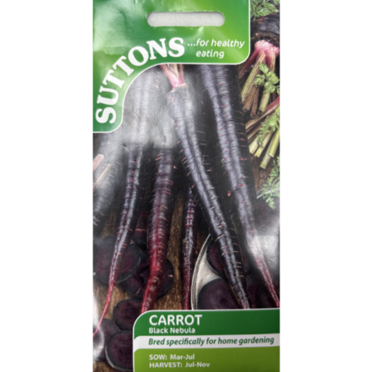 Suttons Seed Carrot Black Nebula Pkg.