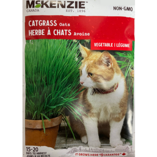 McKenzie Seed Catgrass Oats