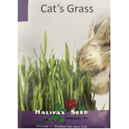Halifax Seed Cat Grass