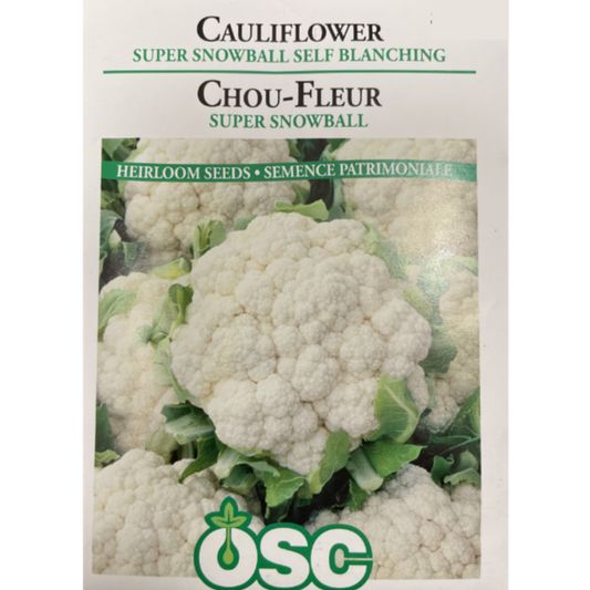 OSC Seeds Cauliflower Super Snowball Self Blanching Pkg