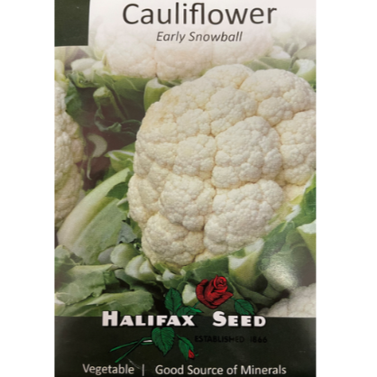 Halifax Seed Cauliflower Early Snowball