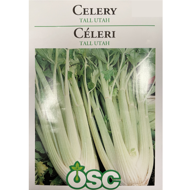 OSC Seeds Celery Tall Utah Pkg