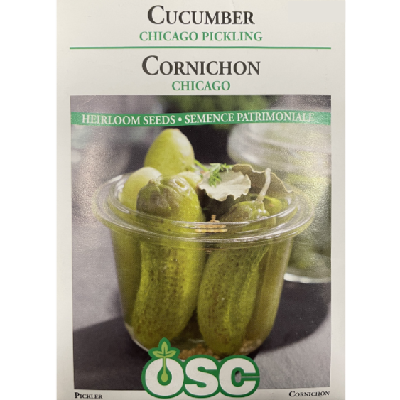 OSC Seeds Cucumber Chicago Pickling Pkg