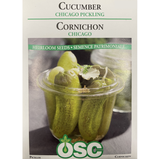 OSC Seeds Cucumber Chicago Pickling Pkg