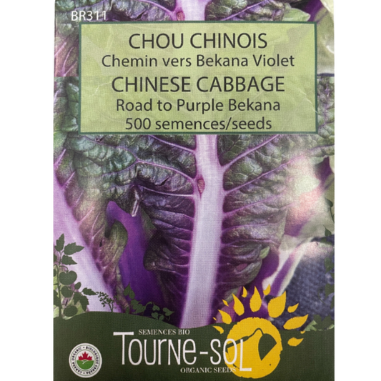 Tourne-Sol Chinese Cabbage Road to Purple Bekana Pkg