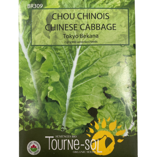 Tourne-Sol Chinese Cabbage Tokyo Bekana Pkg