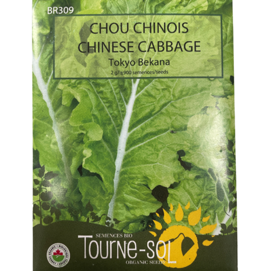 Tourne-Sol Chinese Cabbage Tokyo Bekana Pkg.