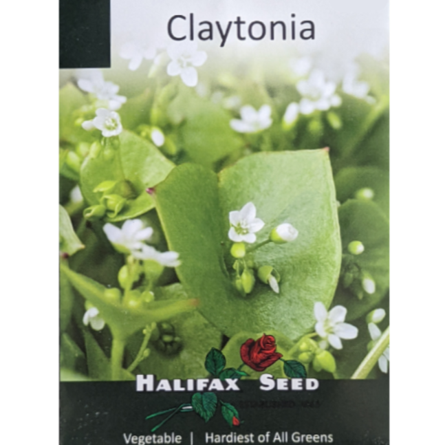 Halifax Seed Claytonia