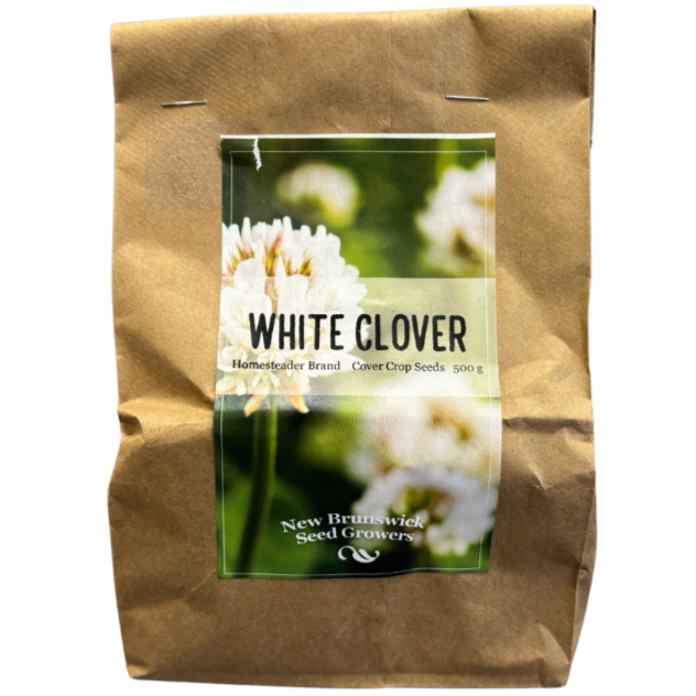 Homesteader White Clover 500g