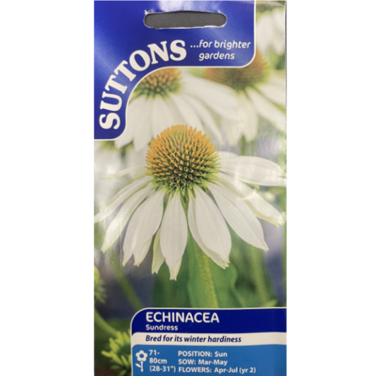 Suttons Seed Echinacea Sundress