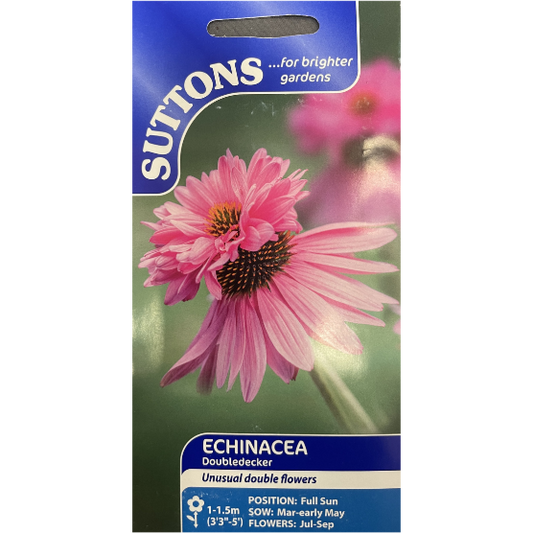 Suttons Seed Echinacea Doubledecker