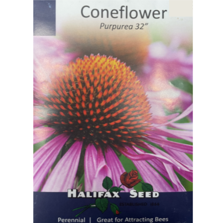 Halifax Seed Coneflower Purpurea 32" Pkg.