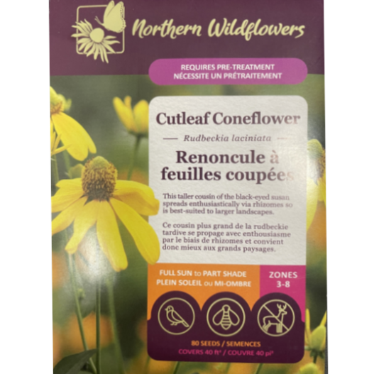 Northern Wildflowers Cutleaf Coneflower Pkg