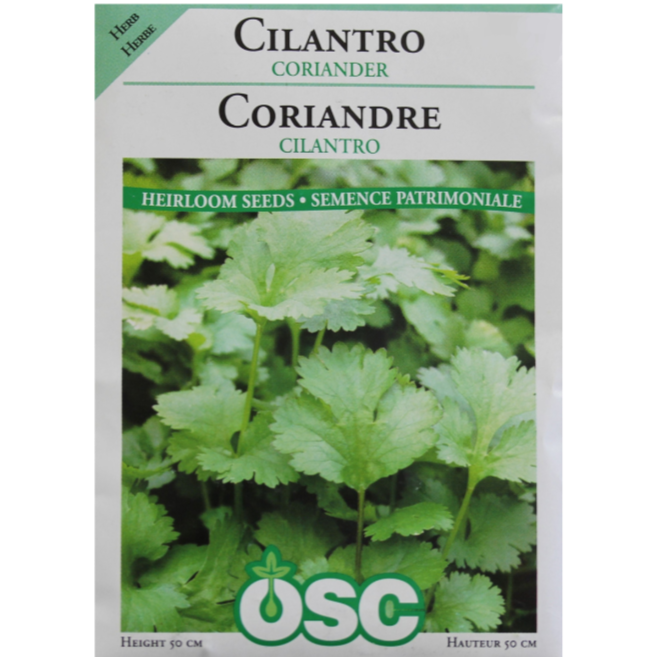 OSC Seeds Cilantro Coriander