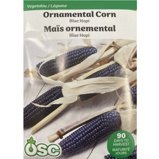 OSC Seeds Corn Ornamental Blue Hopi
