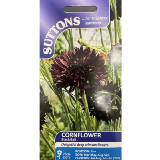 Suttons Seed Cornflower Black Ball