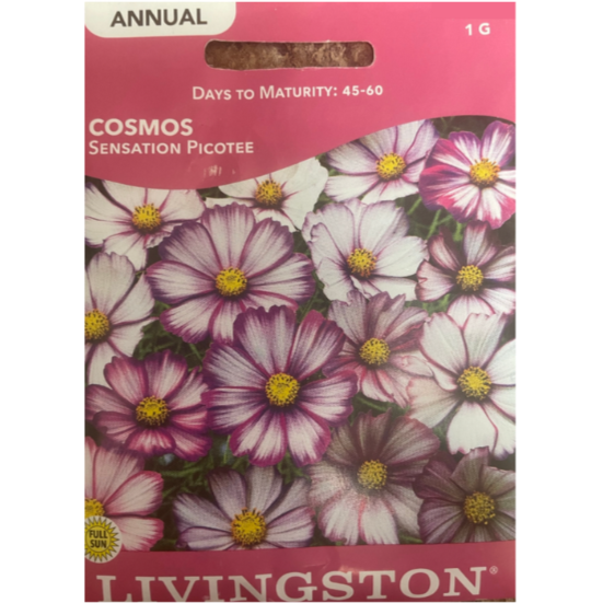 Livingston Seeds Cosmos Sensation Picotee Pkg