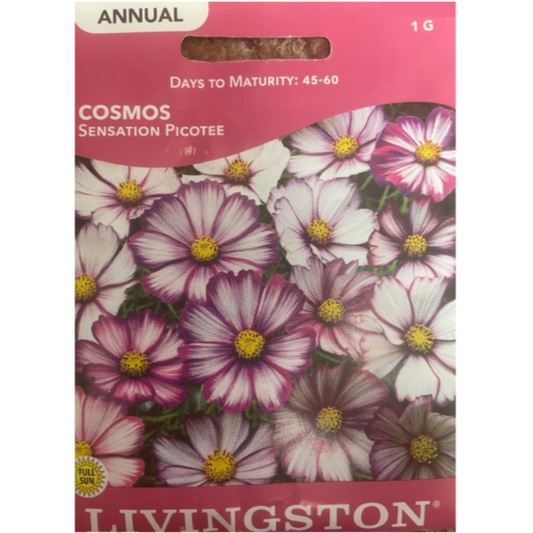 Livingston Seeds Cosmos Sensation Picotee Pkg