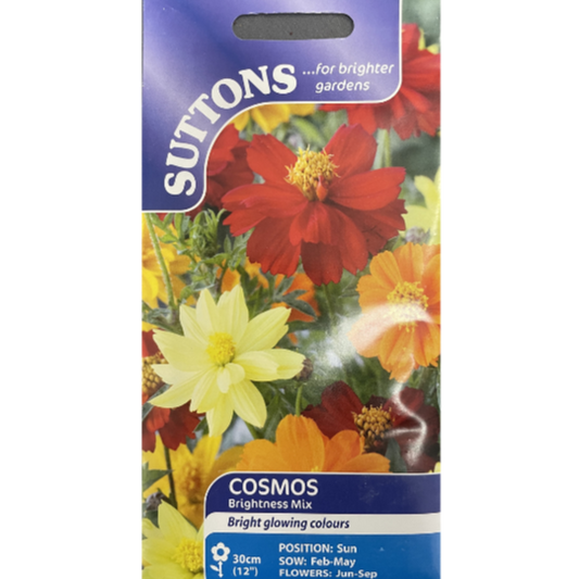 Suttons Seed Cosmos Brightness Mix