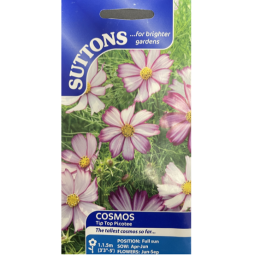 Suttons Seed Cosmos Tip Top Picotee