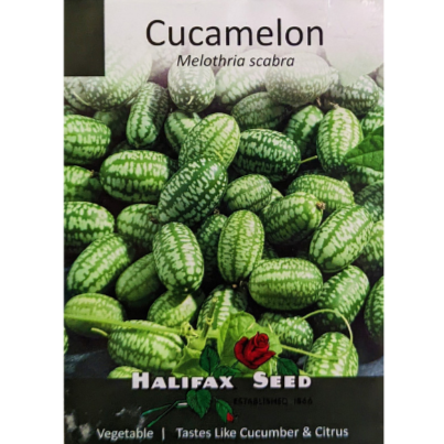 Halifax Seed Cucamelon