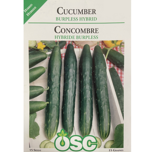 OSC Seeds Cucumber Burpless Hybrid Pkg