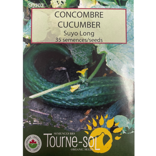 Tourne-Sol Cucumber Suyo Long Pkg