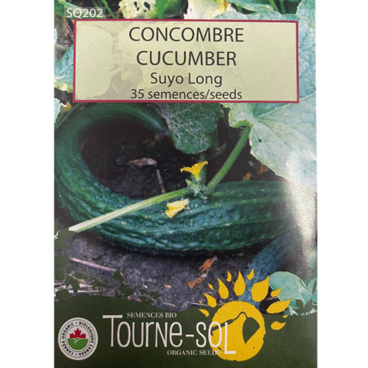 Tourne-Sol Cucumber Suyo Long Pkg.