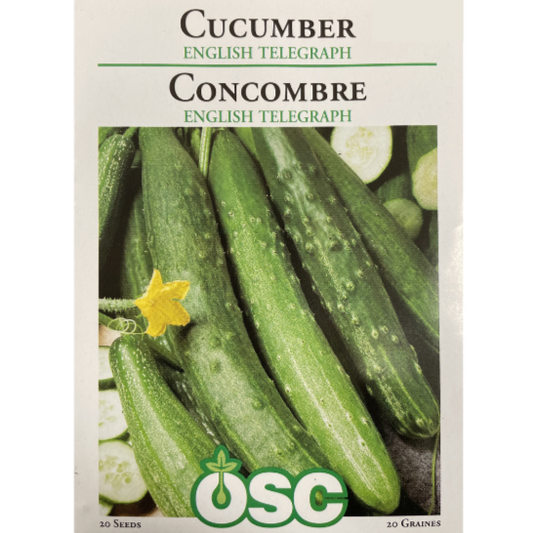 OSC Seeds Cucumber English Telegraph Pkg