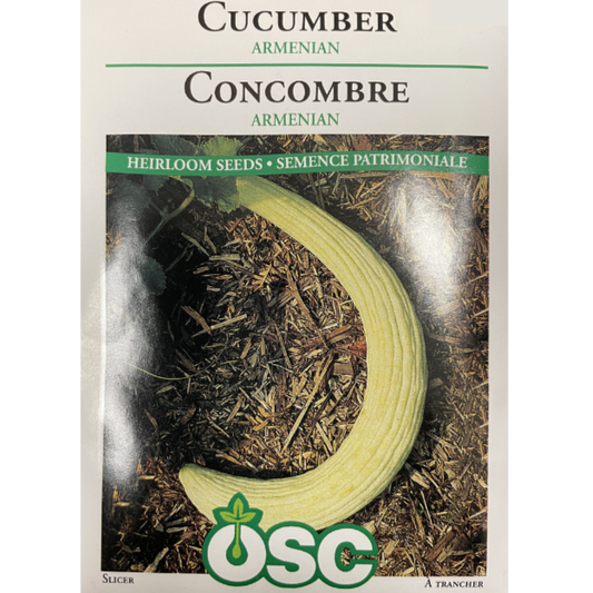 OSC Seeds Cucumber Armenian Pkg