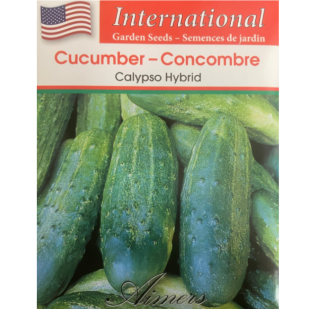 Aimers International Cucumber Calypso Hybrid