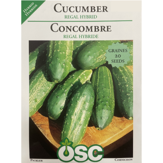 OSC Seeds Cucumber Regal Hybird Pkg