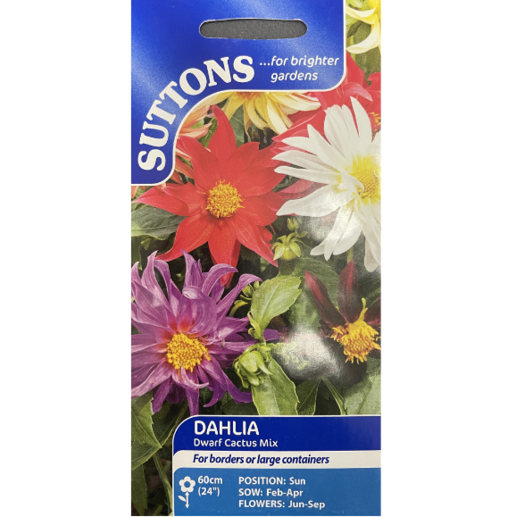Suttons Seed Dahlia Dwarf Cactus Mix