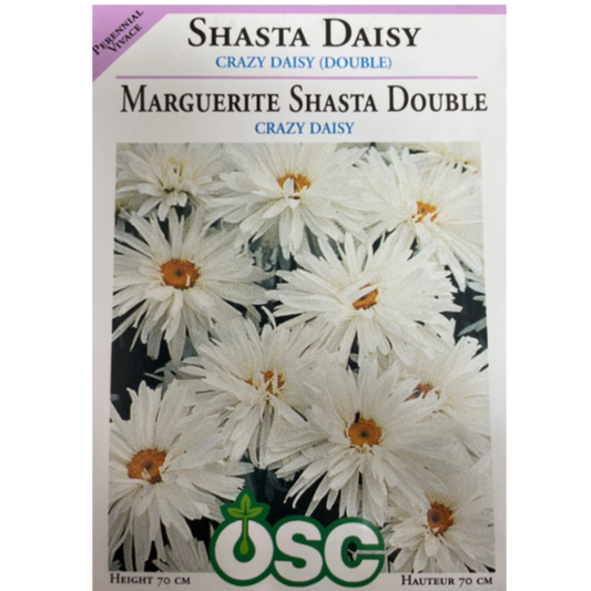 OSC Seeds Shasta Daisy Crazy Daisy Double Pkg
