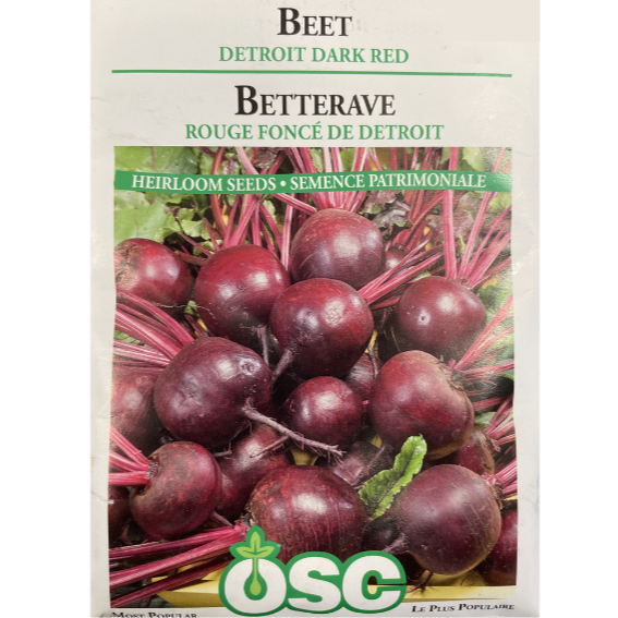 OSC Seeds Beet Detroit Dark Red Pkg.