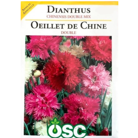 OSC Seeds Dianthus Chinensis Double Mix Pkg