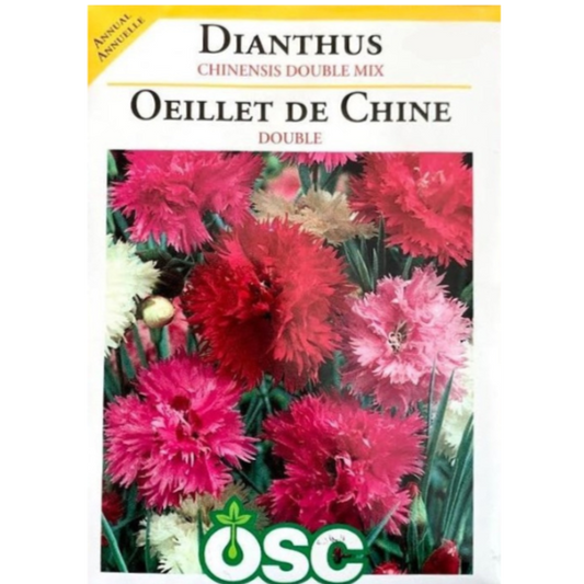 OSC Seeds Dianthus Chinensis Double Mix Pkg