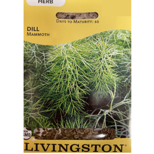 Livingston Seeds Dill Mammoth Pkg