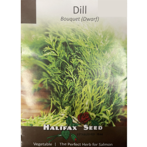 Halifax Seed Dill Bouquet Dwarf