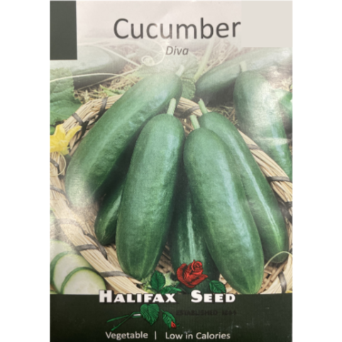 Halifax Seed Cucumber Diva