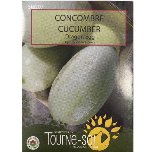 Tourne-Sol Cucumber Dragon Egg Pkg
