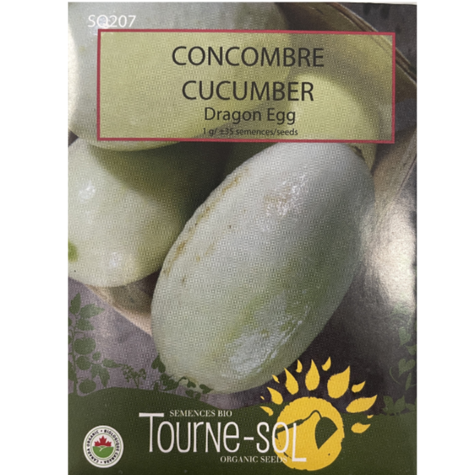 Tourne-Sol Cucumber Dragon Egg Pkg