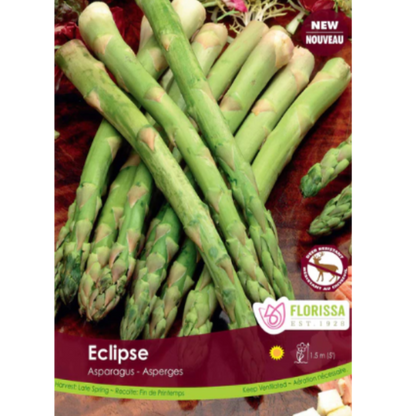 Asparagus Roots 'Eclipse'